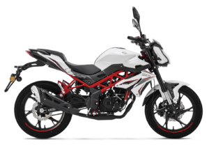 white bn 125 2022 correct